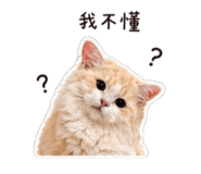 839388234