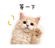 839388240