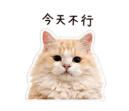 839388248
