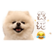 839388299