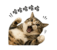 839388369