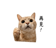 839388380