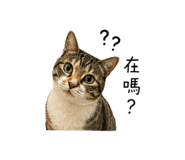 839388383