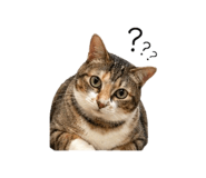 839388397