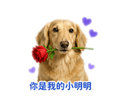 839388441