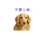 839388456