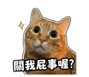 839388633