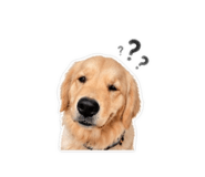 839388780