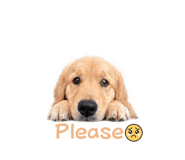 839388787