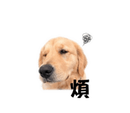 839388794