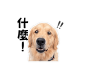 839388796