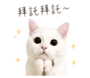 839388898