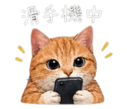 839389599