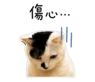 839389761