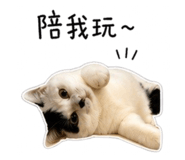 839389767