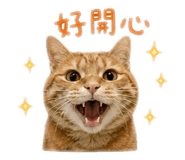 839390185
