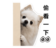839390231