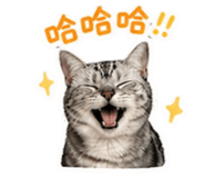 839391269
