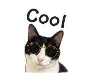 839391317