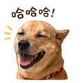 839392169
