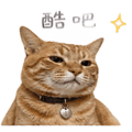 839392171
