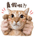 839392175
