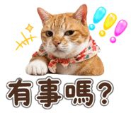 839392371