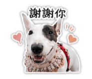 839392781