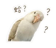 839392972