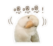 839392974