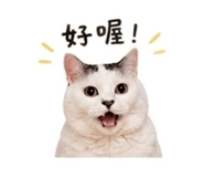 839393021