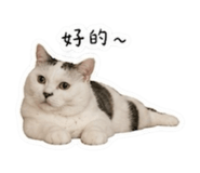 839393027