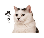 839393031