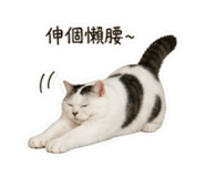 839393049