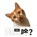 839395482