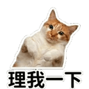 839395484