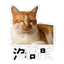 839395485