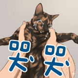 839396950
