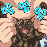 839396969