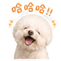 839397069