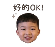 839397293