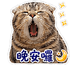 839397485
