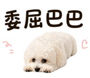 839399482