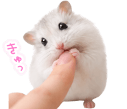 839399623