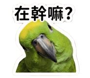 839399736