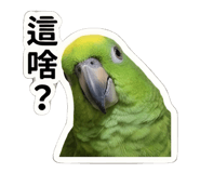 839399741