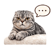 839401613