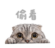 839401640