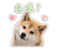 839401772