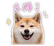 839401775